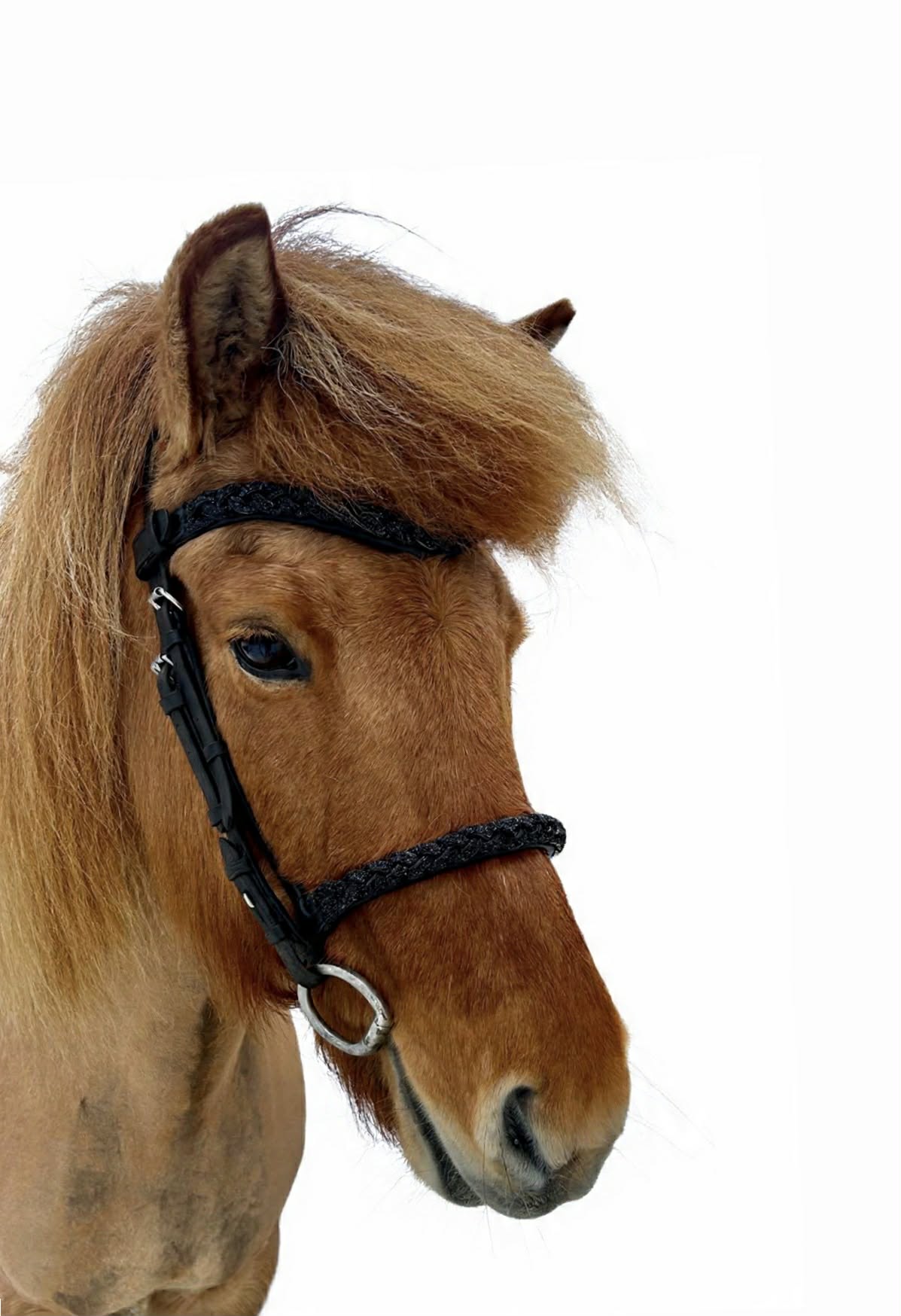 Snerting Glitter Pandebånd - Sort