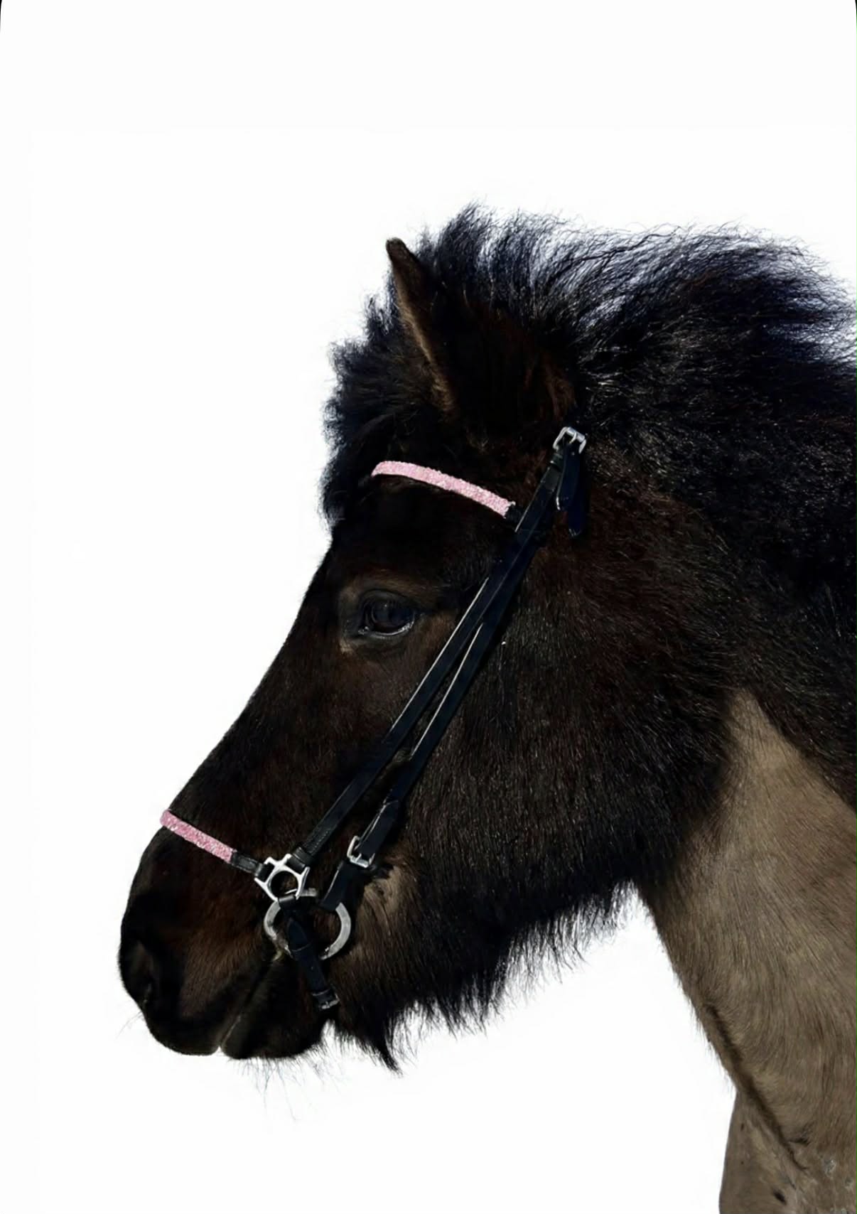 Agnes Glitter Trense - Pink