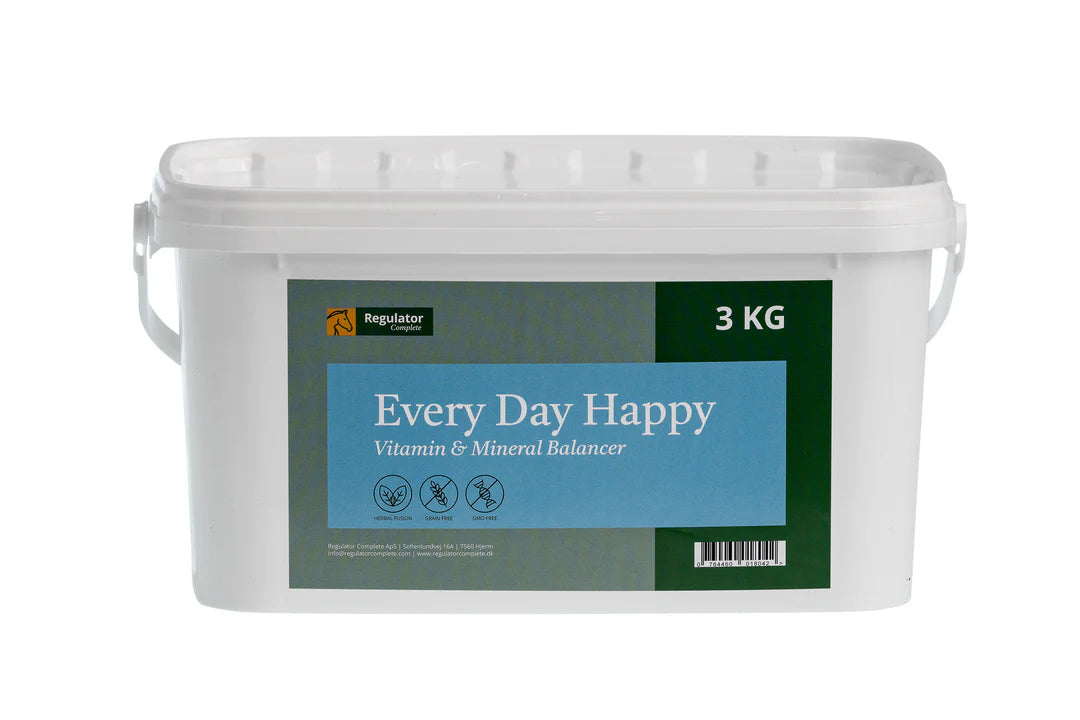 Every Day Happy