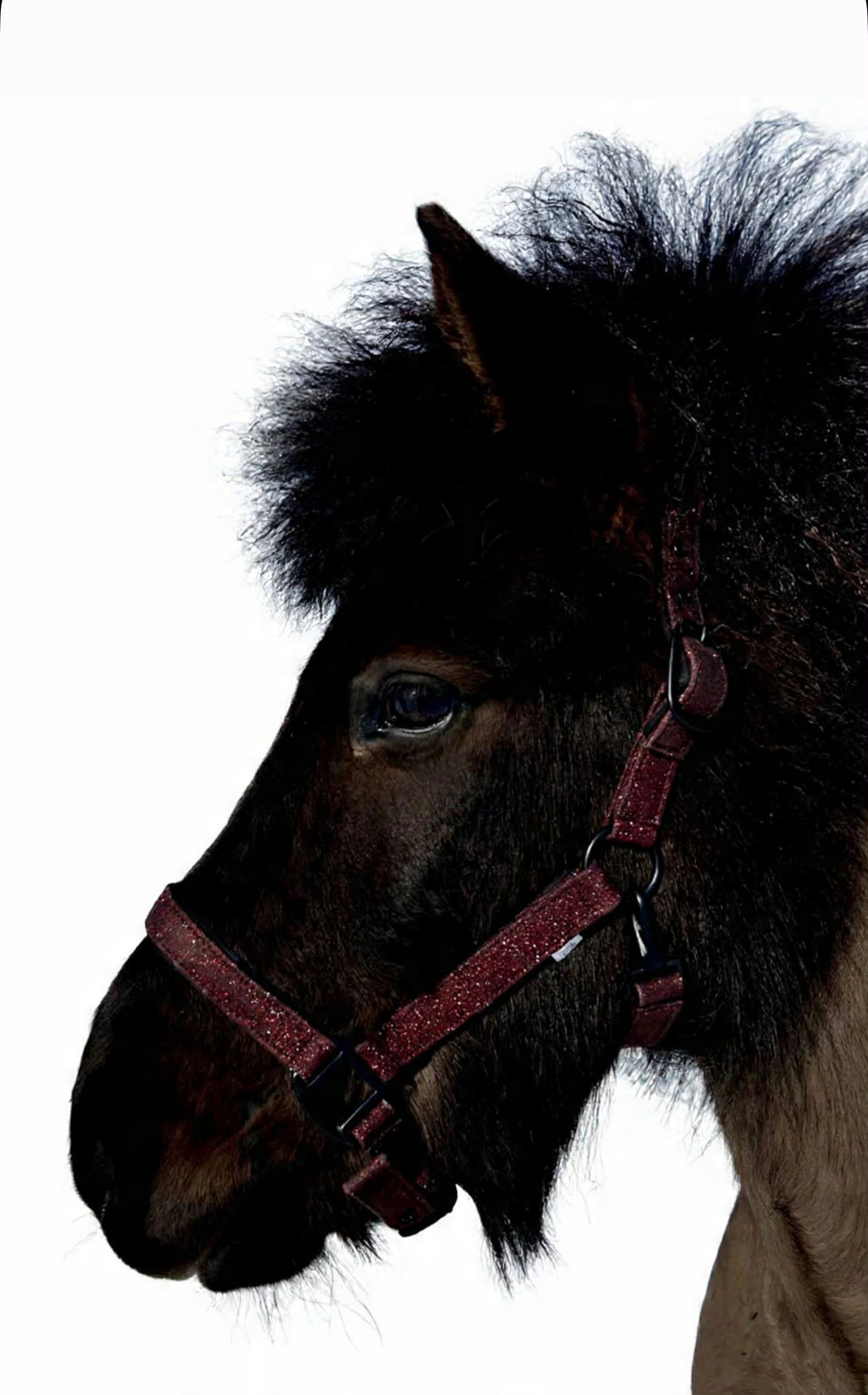 Glitter Grime - Cherry