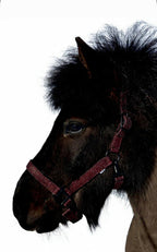 Glitter Grime - Cherry