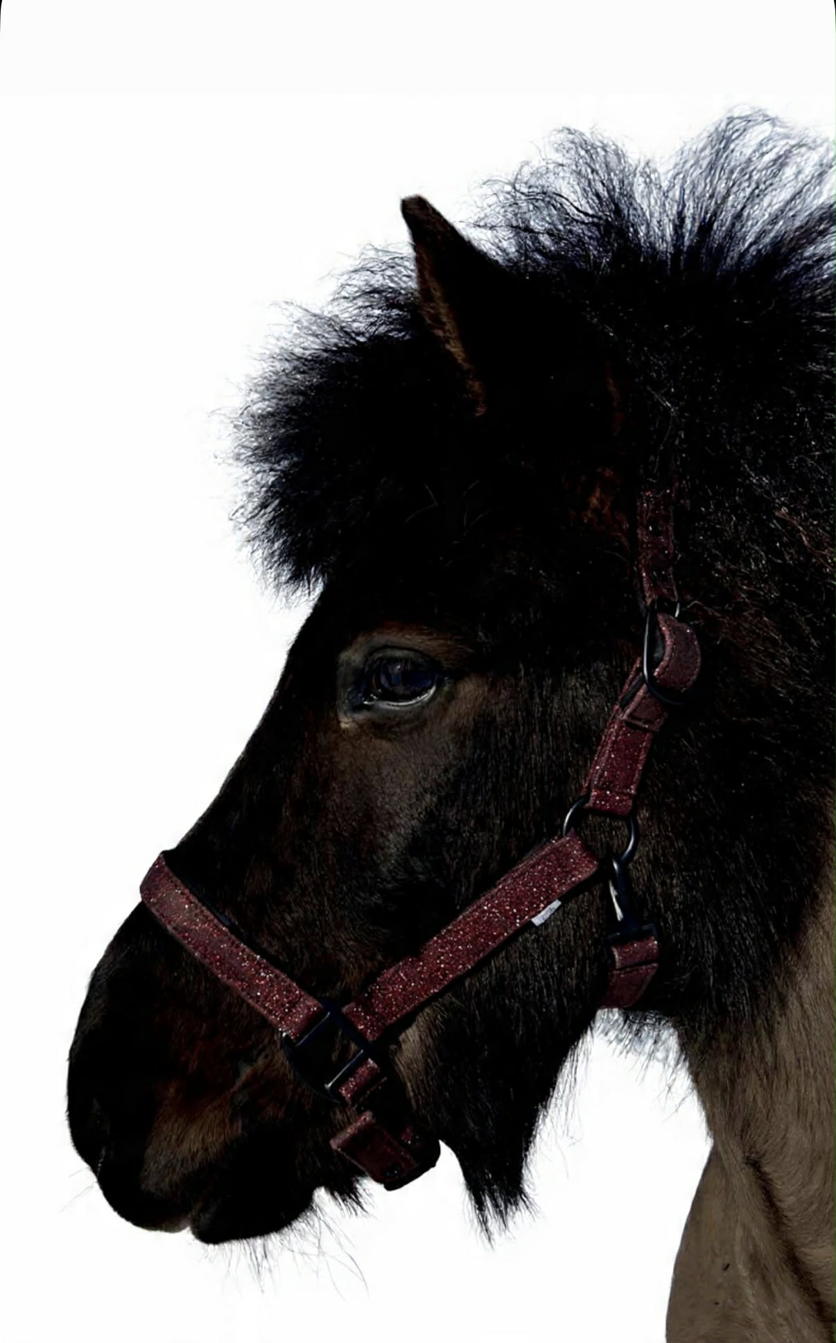 Glitter Grime - Cherry