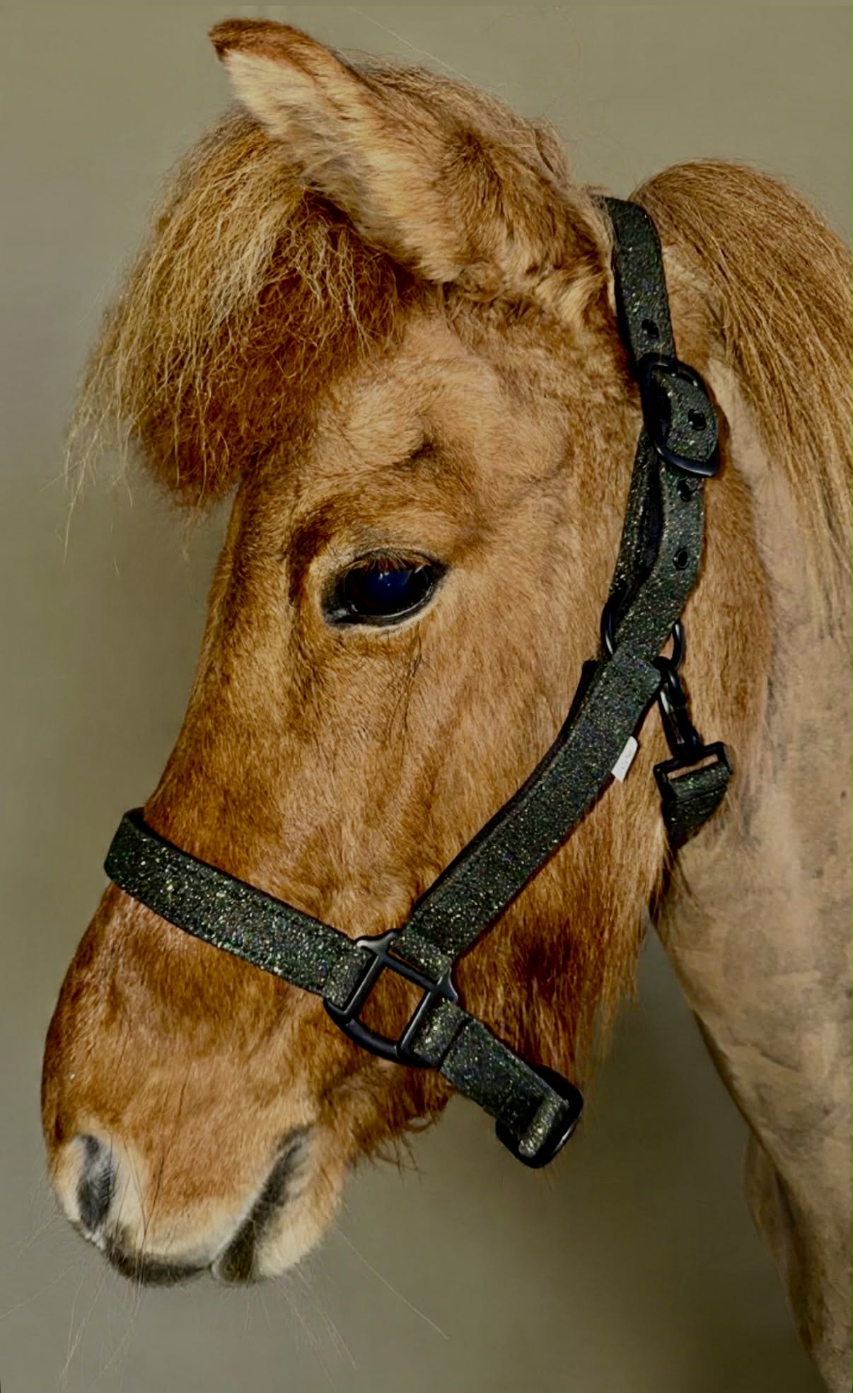 Glitter Grime - Forest Green