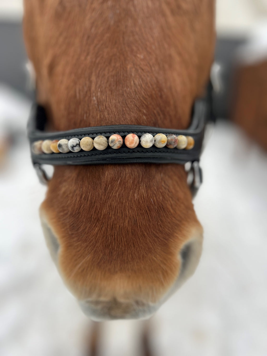 Næsebånd anatomisk kombineret - Honey Stone