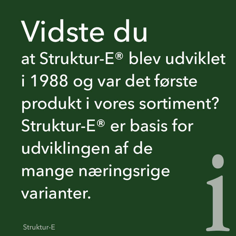 Struktur-E