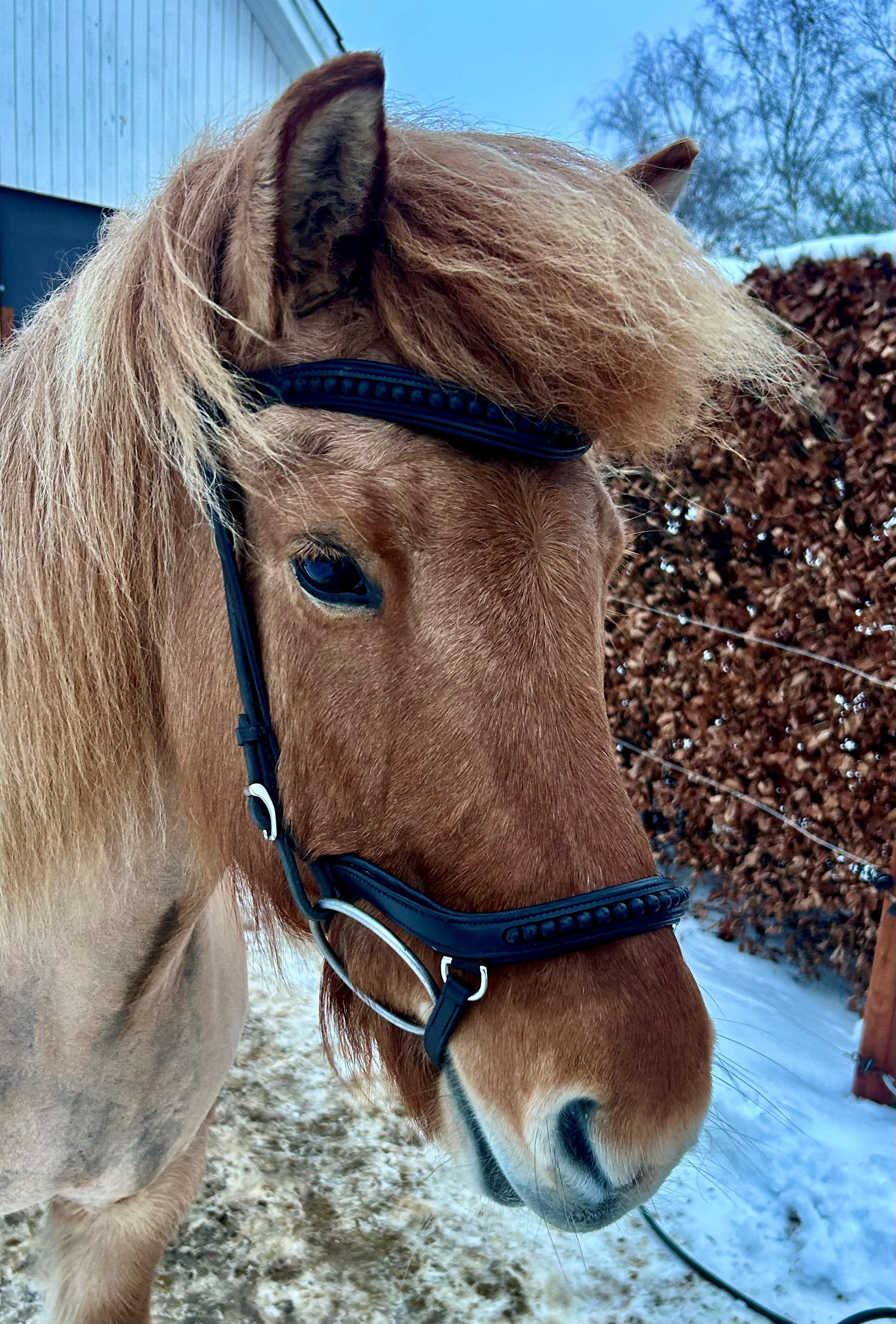 Anatomisk kombineret næsebånd - Sort lavasten