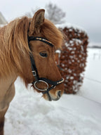 Næsebånd anatomisk kombineret - Honey Stone