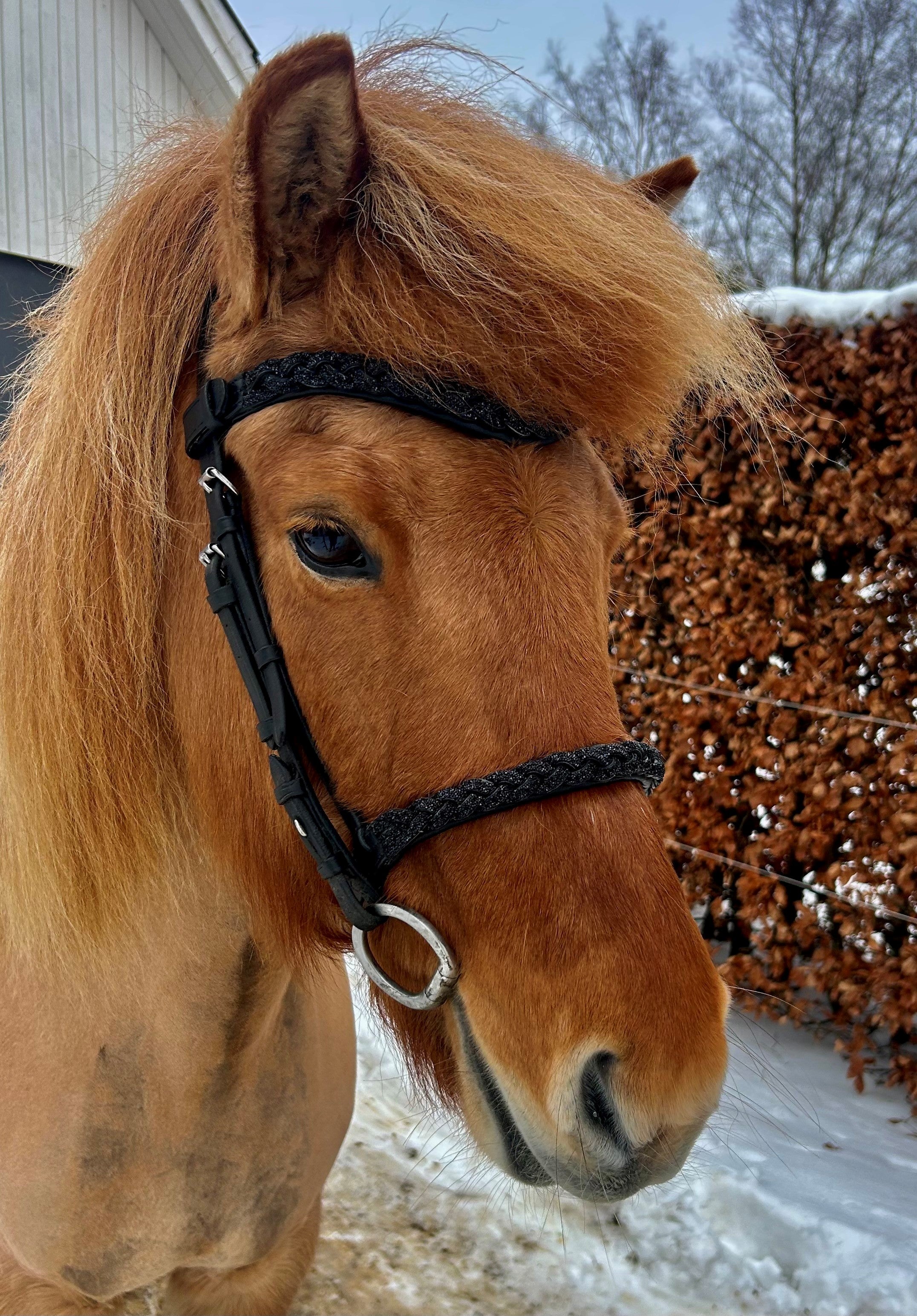 Snerting Glitter engelsk næsebånd - Sort