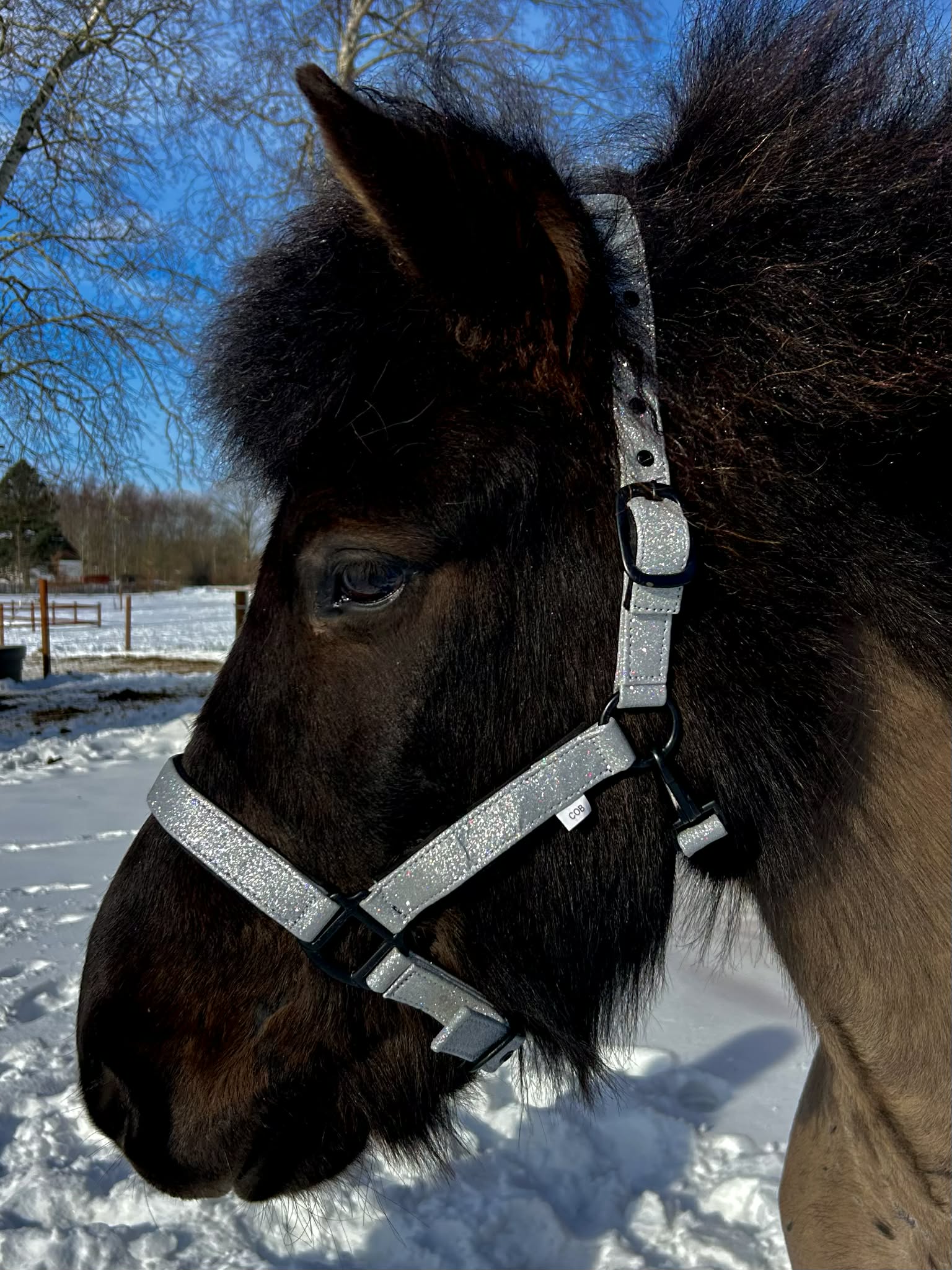 Glitter Grime - Silver