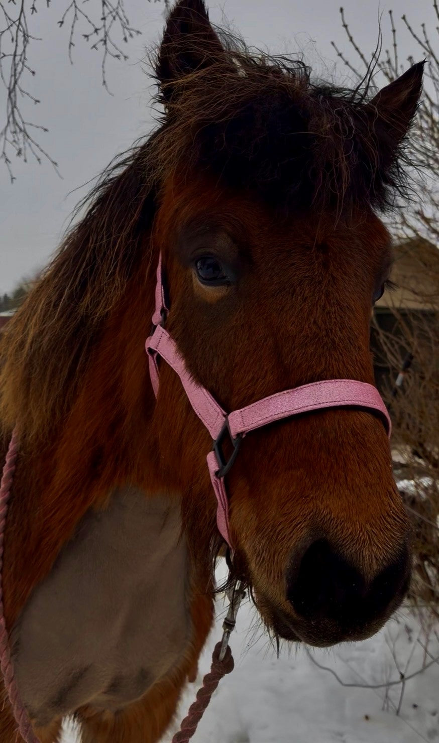 Glitter Grime - Pink